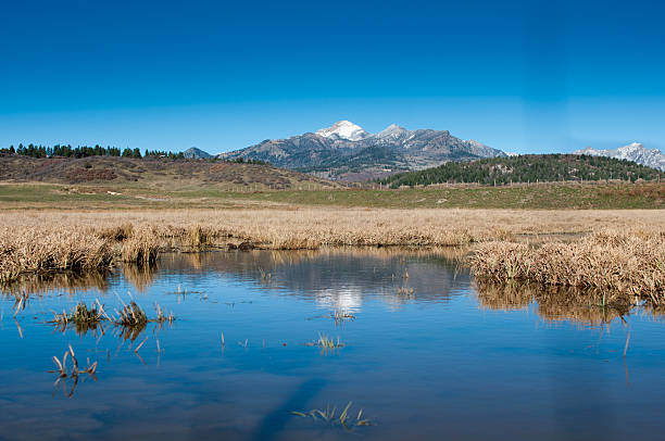 istock mountain reflect in the swamp 525056297