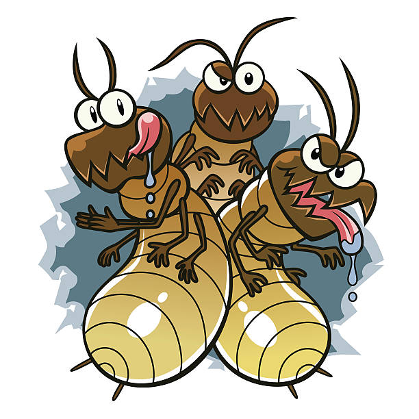 108,809 Cartoon Bugs Illustrations & Clip Art - iStock | Termite, Spider, Ants 108,809 Cartoon Bugs Illustrations & Clip Art - iStock | Termite, Spider, Ants