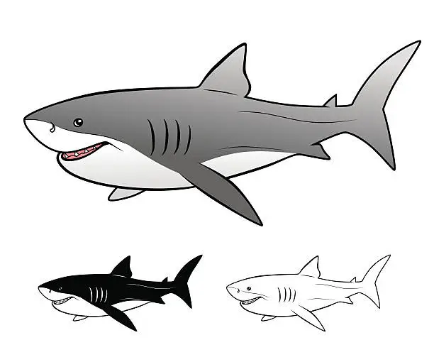 Vector illustration of White shark