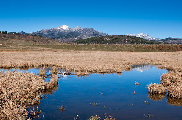istock mountain reflect in the swamp 525057295