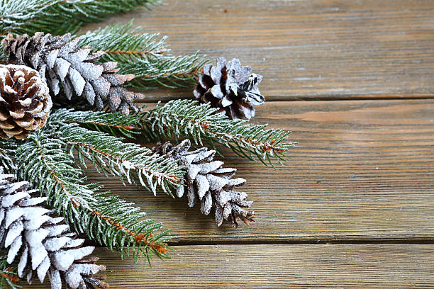 Christmas fir branch with cones Christmas fir branch with cones, xmas background fake snow stock pictures, royalty-free photos & images