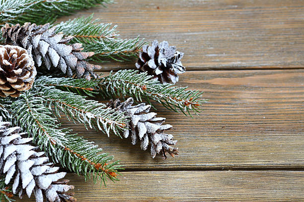 ramo de abeto com cones de natal - fake snow imagens e fotografias de stock