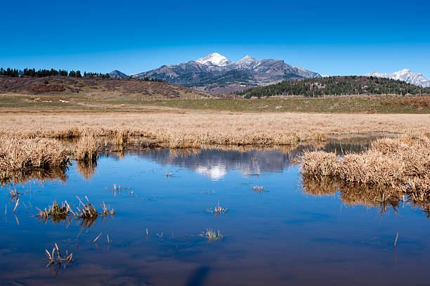 istock mountain reflect in the swamp 525058703