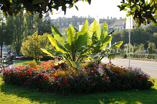 istock View of Lausanne 525059589