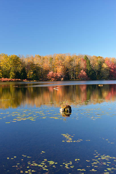 istock Promised Land Lake in Autumn 525059675