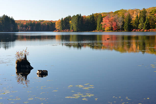 istock Fall colors at Promised Land State Park in Pennsylvania 525059677