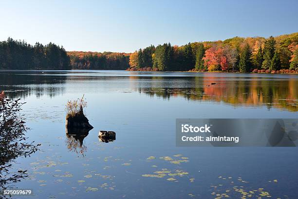 Promised Land State Park Of Pennsylvania In Autumn Stock Photo - Download Image Now - Autumn, Beauty In Nature, Horizontal