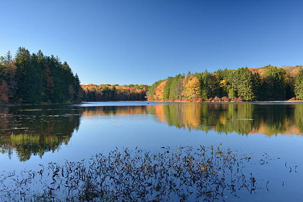 istock Promised Land Lake in Autumn 525059685