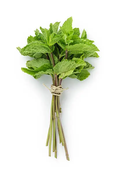 bunch of fresh mint, white background directly above