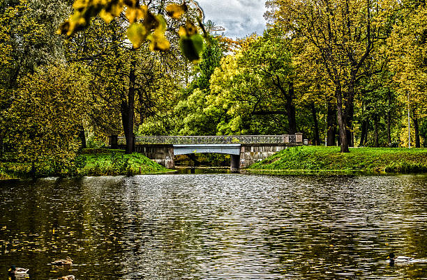 lago com green park - wales brecon beacons bridge footpath - fotografias e filmes do acervo