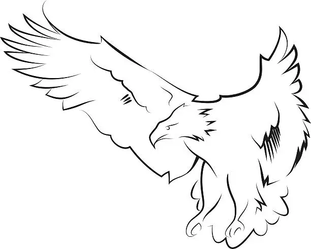 Vector illustration of Eagle in the hunting position. Line art.