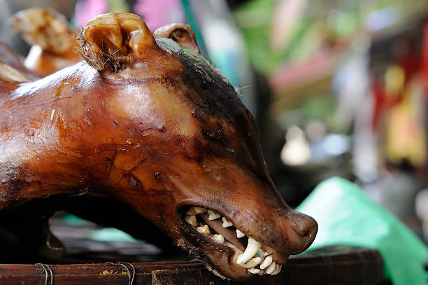 Cooked dog for buying on the stall in the capital city of Vietnam
