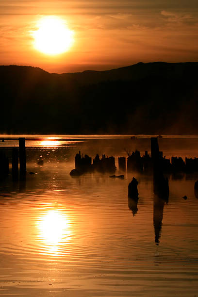 Golden Sunset over Lake