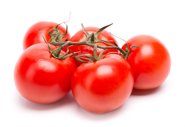 istock branch of tomatoes 525076459