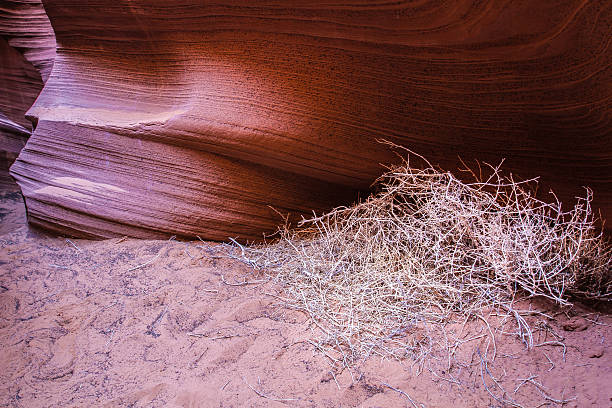 slot canyon arizona-petrified sand dune - petrified sand dune stock-fotos und bilder