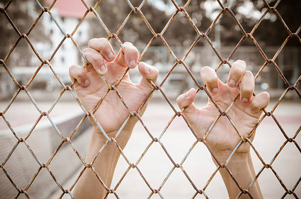 istock Hands with Mesh cage, Hands with steel mesh fence 525076695