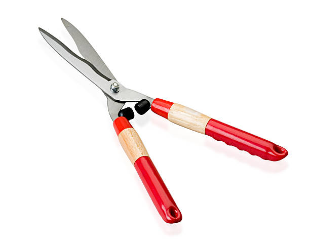 istock Gardening shear for cutting the grass isolated 525078773