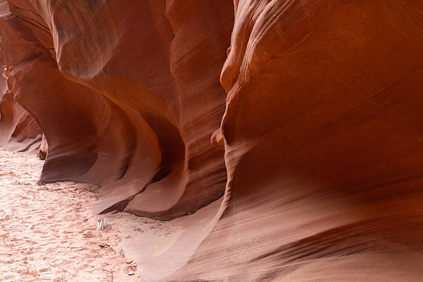 slot canyon arizona-petrified sand dune - petrified sand dune stock-fotos und bilder