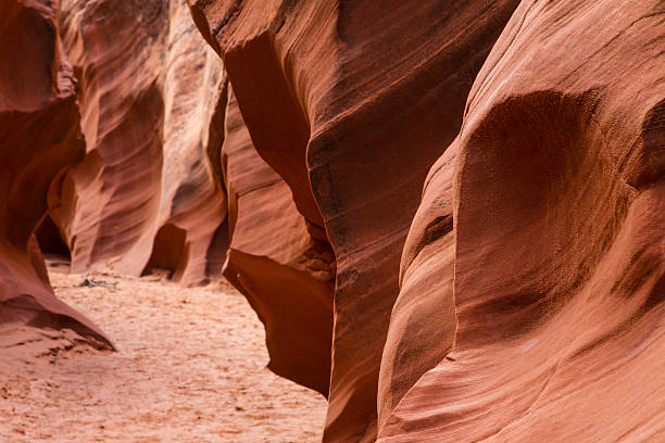 slot canyon arizona-petrified sand dune - petrified sand dune stock-fotos und bilder