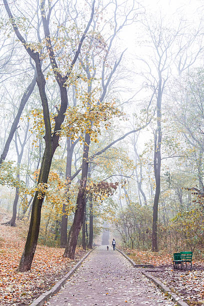 istock foggy morning in city park 525105293