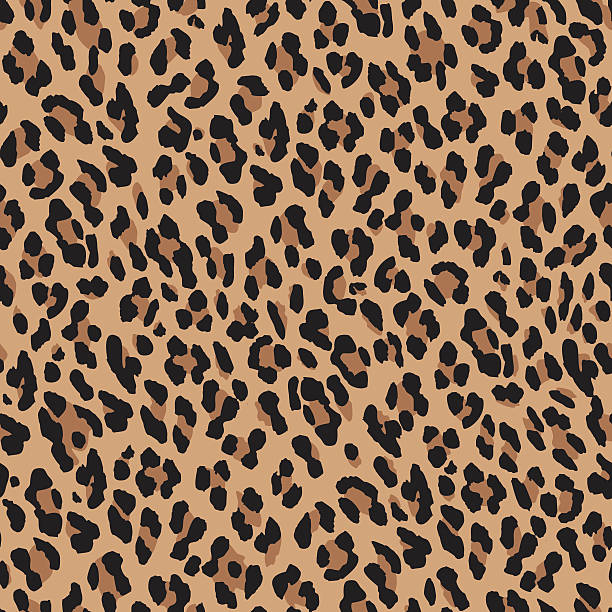 leopard haut nahtlose hintergrund - tiger skin stock-grafiken, -clipart, -cartoons und -symbole