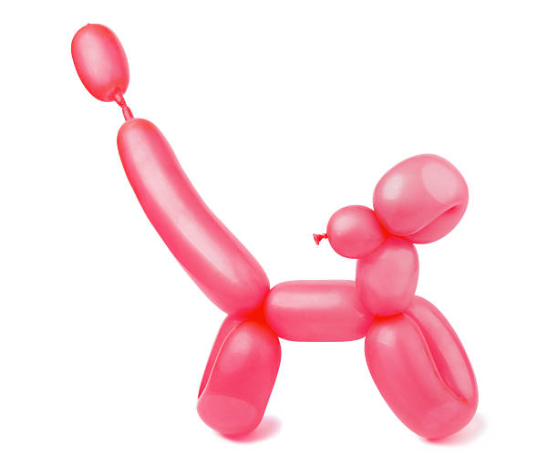 cão de balão - balloon twisted shape animal - fotografias e filmes do acervo
