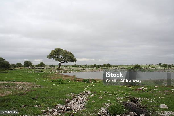 Okaukuejo Waterhole Green Landscape Etosha Park Rainy Season Namibia Africa Stock Photo - Download Image Now