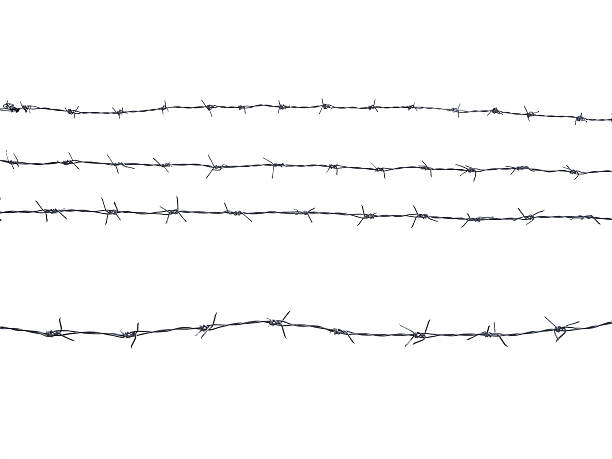 istock galvanized steel fence isolated on white 525122653