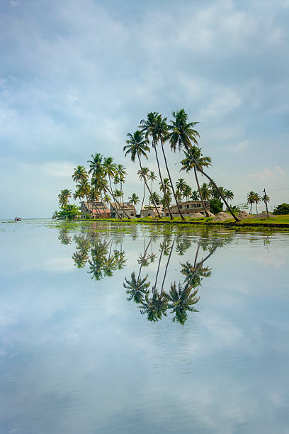 kerala-flüsse und boote - allepey stock-fotos und bilder