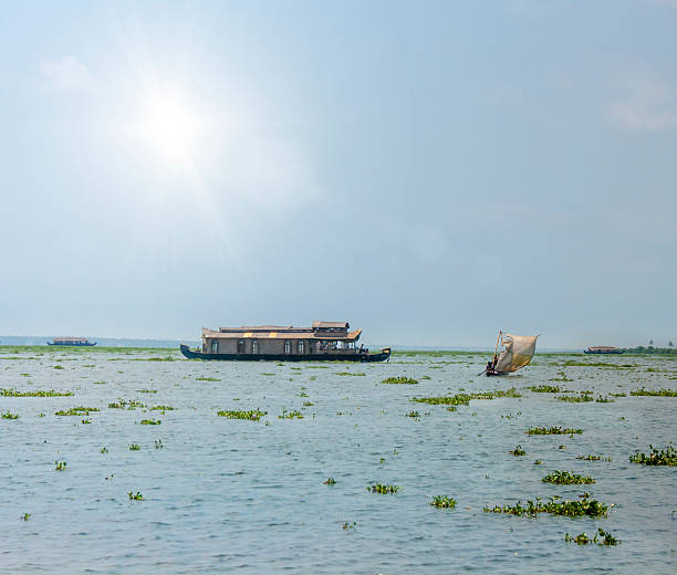 kerala-flüsse und boote - allepey stock-fotos und bilder