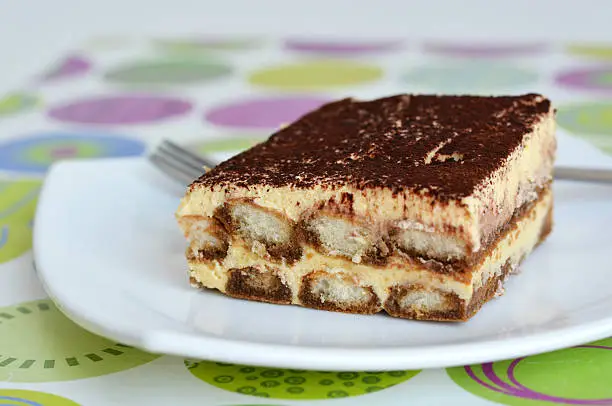 Tiramisu dessert cake on plate