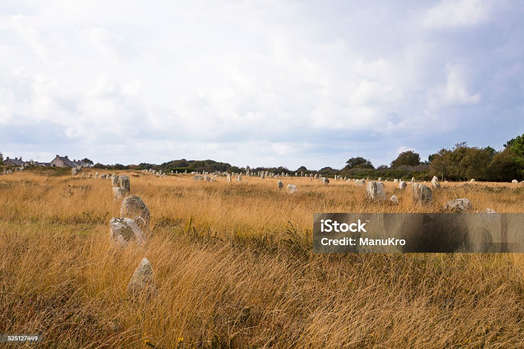 Intriguing standing stones at Carnac in Brittany, north-western France Intriguing standing stones at Carnac in Brittany in north-western France Agricultural Field Stock Photo