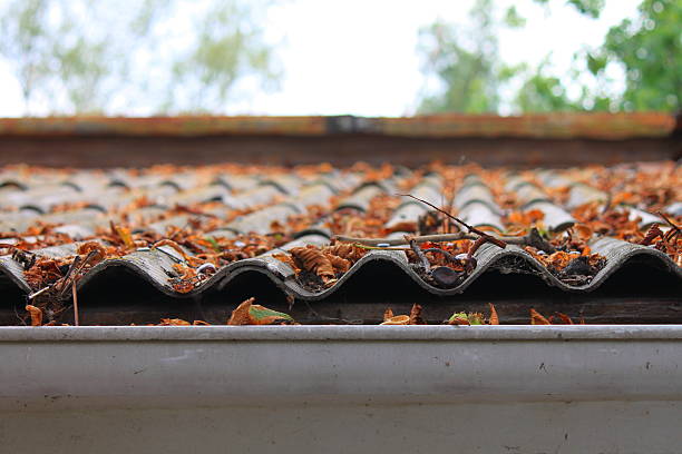 Lots of autumn leaves on a roof