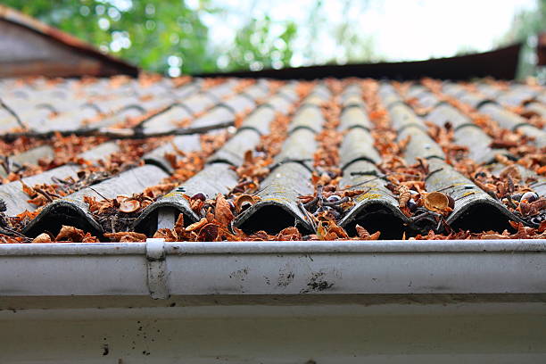 istock Lots of autumn leaves on a roof 525138377
