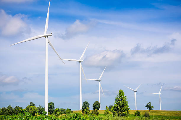 istock Wind turbine on the green meadow 525139469
