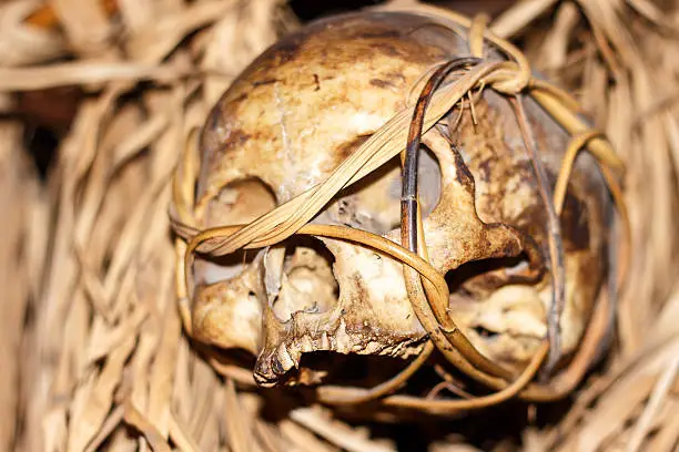 Deep of field with selective focus on skull from the borneo headhunter era in Sarawak, Malaysia.