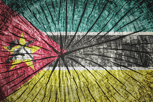 istock flag of Mozambique 525143885