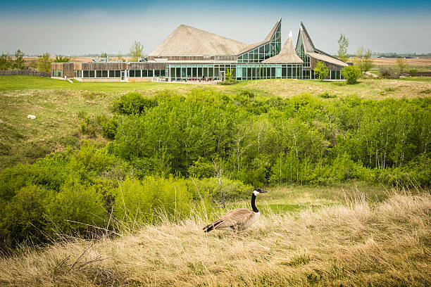 wanuskewin наследия парк - saskatchewan saskatoon field prairie стоковые фото и изображения