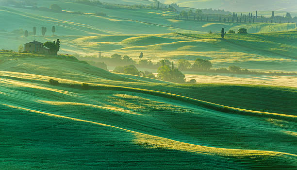 matin paysage de la toscane - morning italy shadow sunlight photos et images de collection