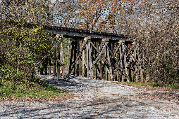 istock Railroad Trestle In The Ozone Falls State Area 525173613