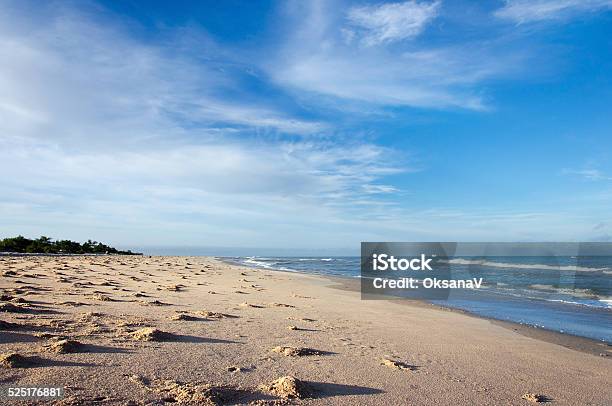 Ocean And Sandy Beach On Blue Sky Background Stock Photo - Download Image Now - Animal, At The Edge Of, Atlantic Ocean