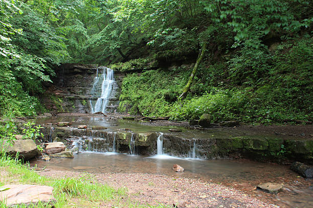 istock beautiful waterfall in forest, summer landscape 525177397
