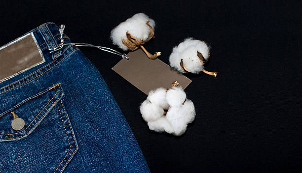 istock Cotton balls on a branch and jean cloth 525178651