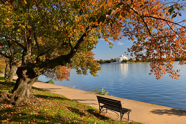 istock Washington DC, Thomas Jefferson Memorial in Autumn 525193975