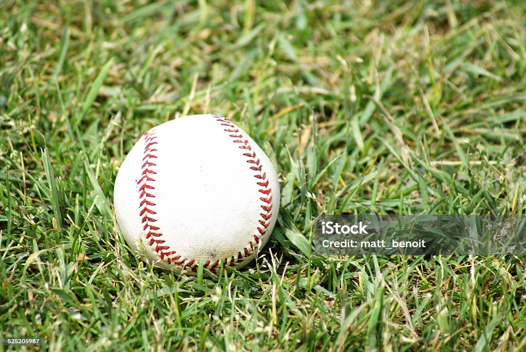 Baseball on the Grass A pro baseball sits on the fields green grass. Activity Stock Photo