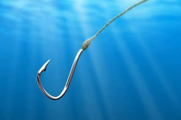Photo of Fishing hook in the sea