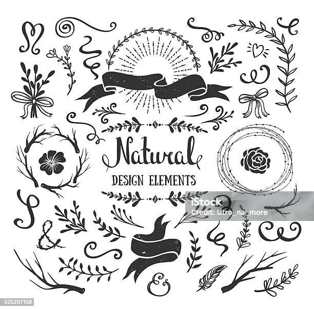 Vintage Graphic Set Of Flowers Branches Leafs Rustic Design Elements Stock Illustration - Download Image Now