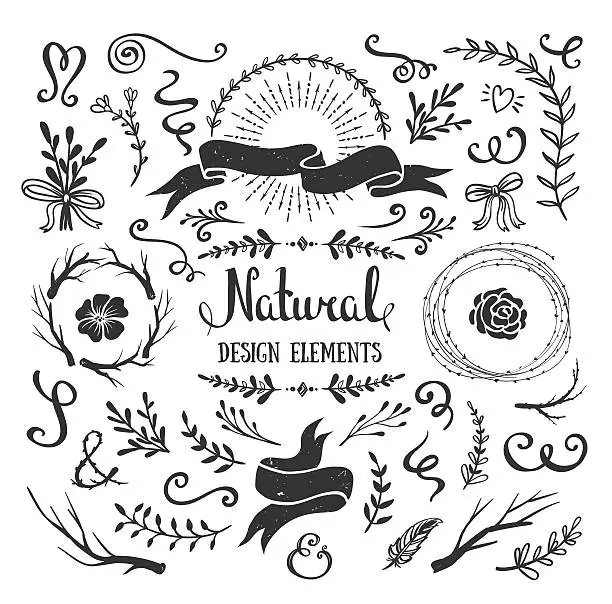 Vector illustration of Vintage graphic set of flowers, branches, leafs, rustic design elements.