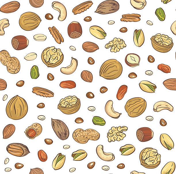 ilustraciones, imágenes clip art, dibujos animados e iconos de stock de vector de de patrón continuo mano reflejado con precisión los frutos secos sobre un fondo blanco. - nut snack peanut backgrounds