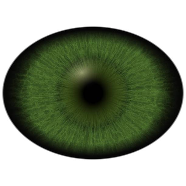 istock Green eye with large pupil and bright retina. Green iris 525207746